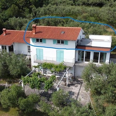 Apartamento House Among Olive Trees With A Sea View 1 Ankaran Exterior foto