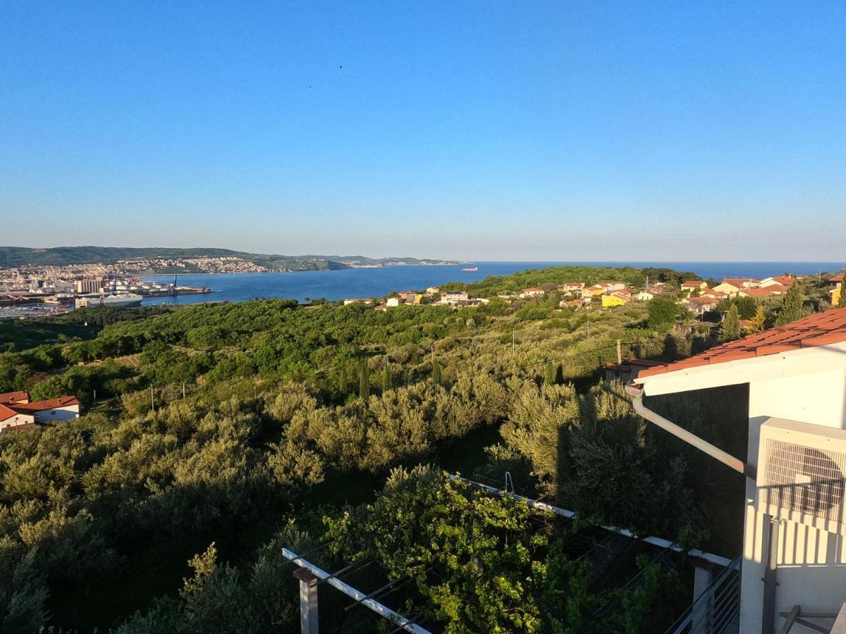 Apartamento House Among Olive Trees With A Sea View 1 Ankaran Exterior foto