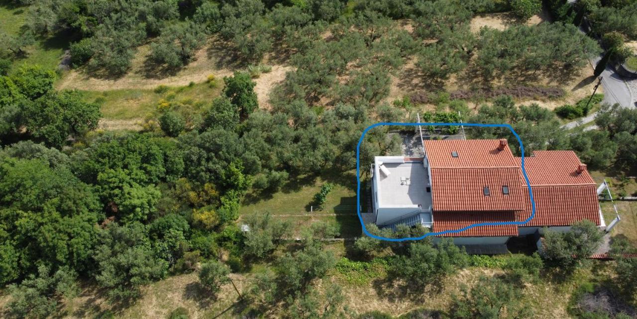 Apartamento House Among Olive Trees With A Sea View 1 Ankaran Exterior foto