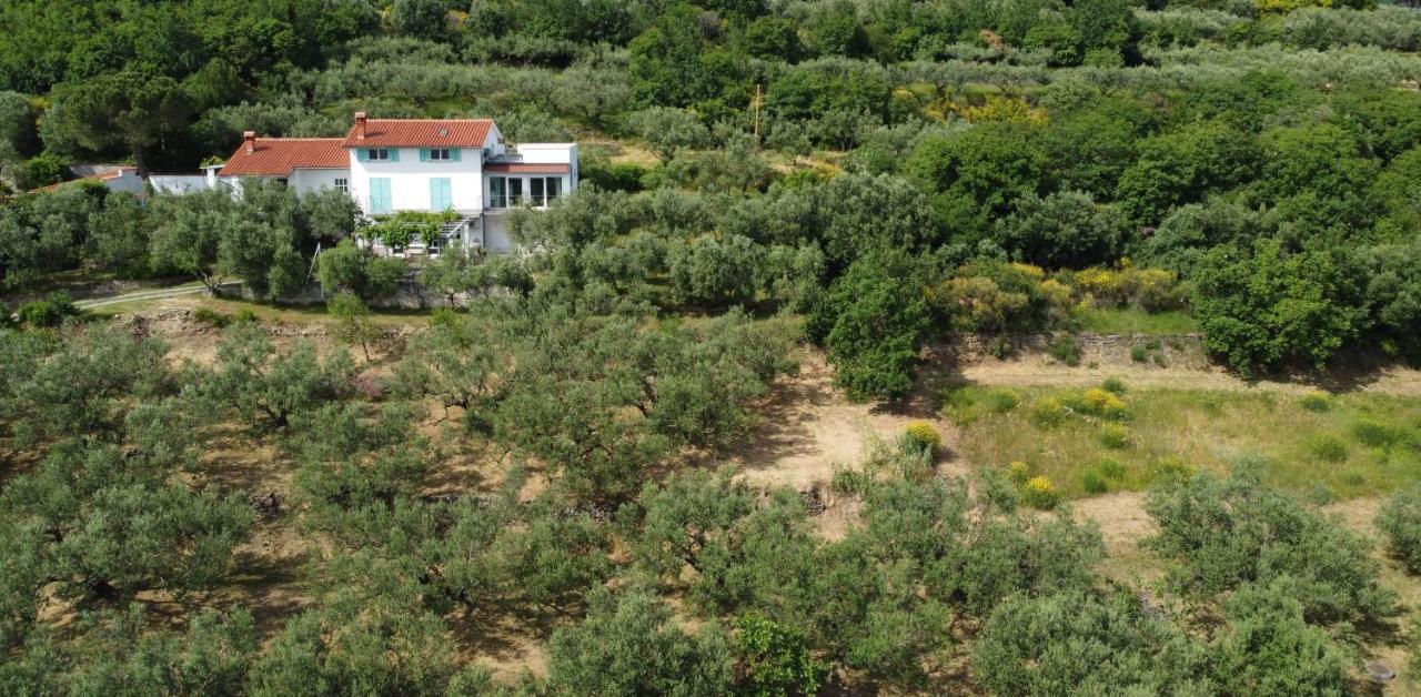 Apartamento House Among Olive Trees With A Sea View 1 Ankaran Exterior foto