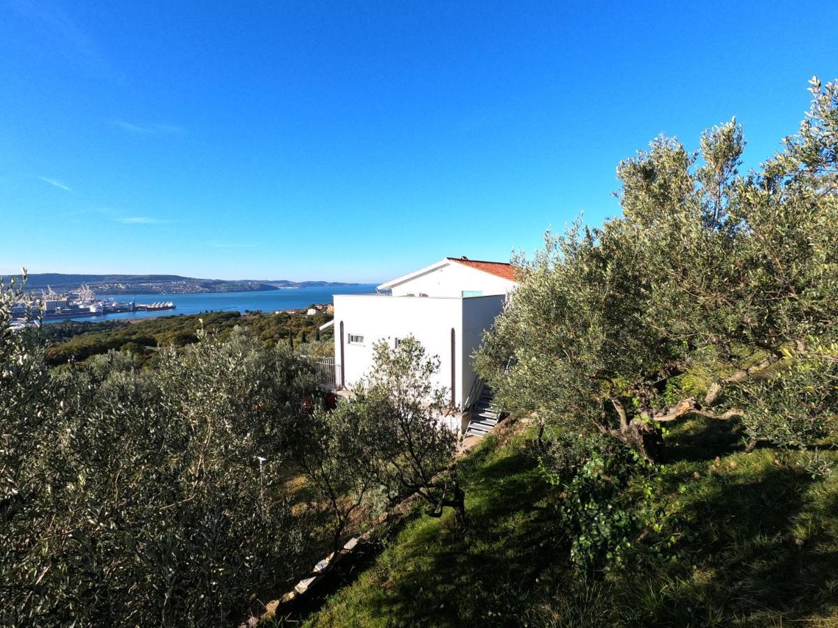 Apartamento House Among Olive Trees With A Sea View 1 Ankaran Exterior foto